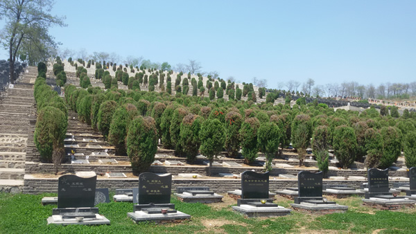 2015062313133058792.jpg