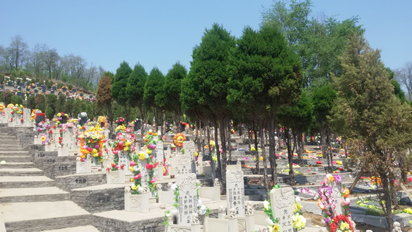 2015062313163749230.jpg