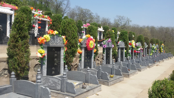 2015062313173542885.jpg